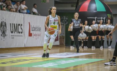 Pszcz&oacute;łki żądlą w Sosnowcu