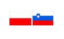Polska &ndash; Słowenia typy i zapowiedź &ndash; 18 września 2021