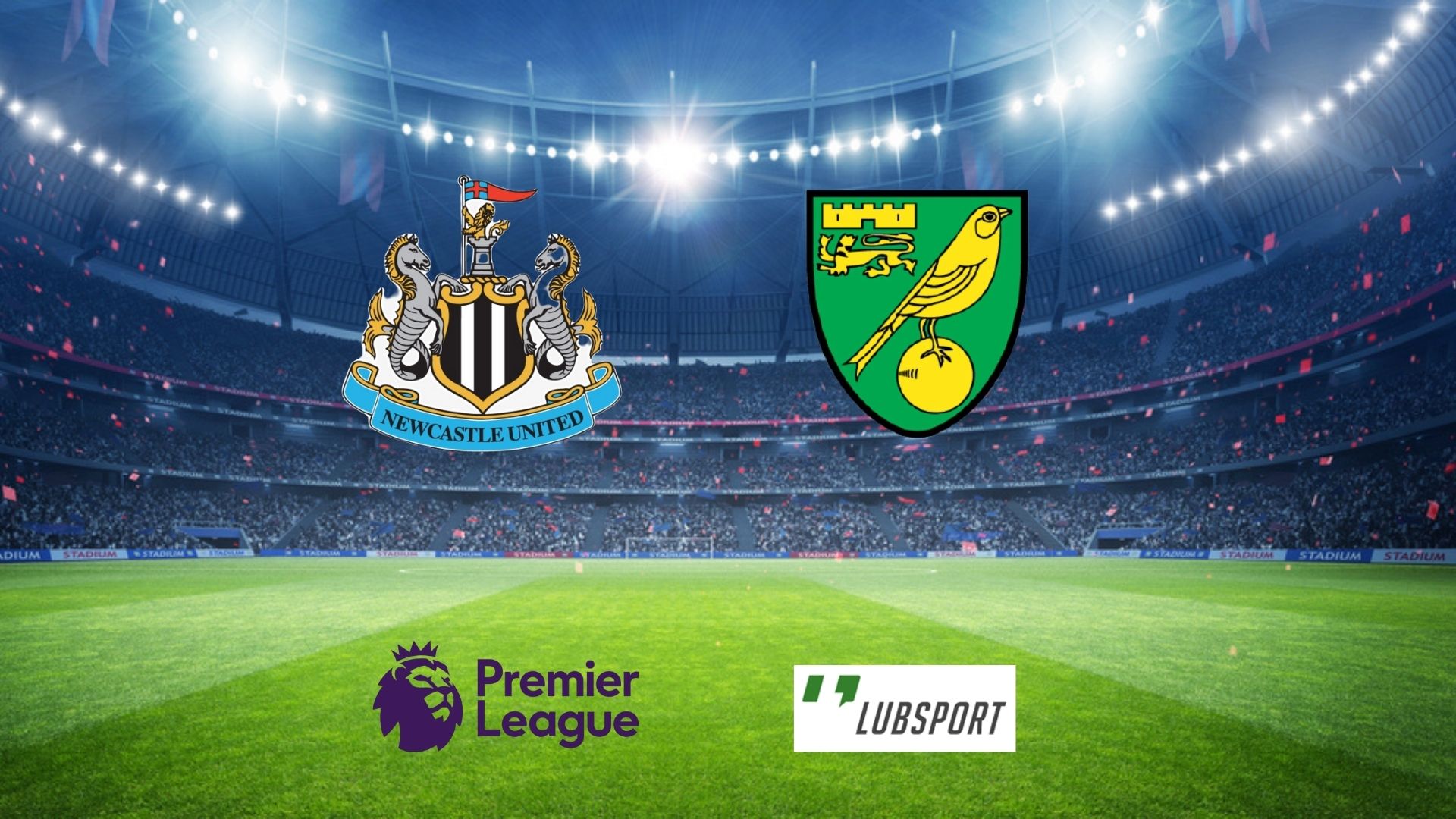 newcastle-norwich-typy newcastle-norwich-typy