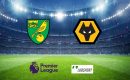 Norwich &ndash; Wolves typy, kursy, przewidywania 27/11/2021