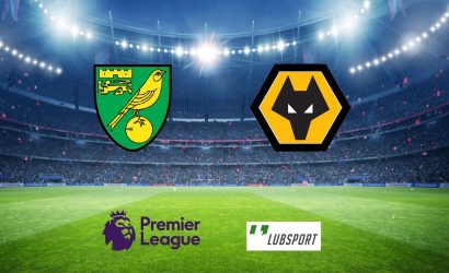Norwich &ndash; Wolves typy, kursy, przewidywania 27/11/2021