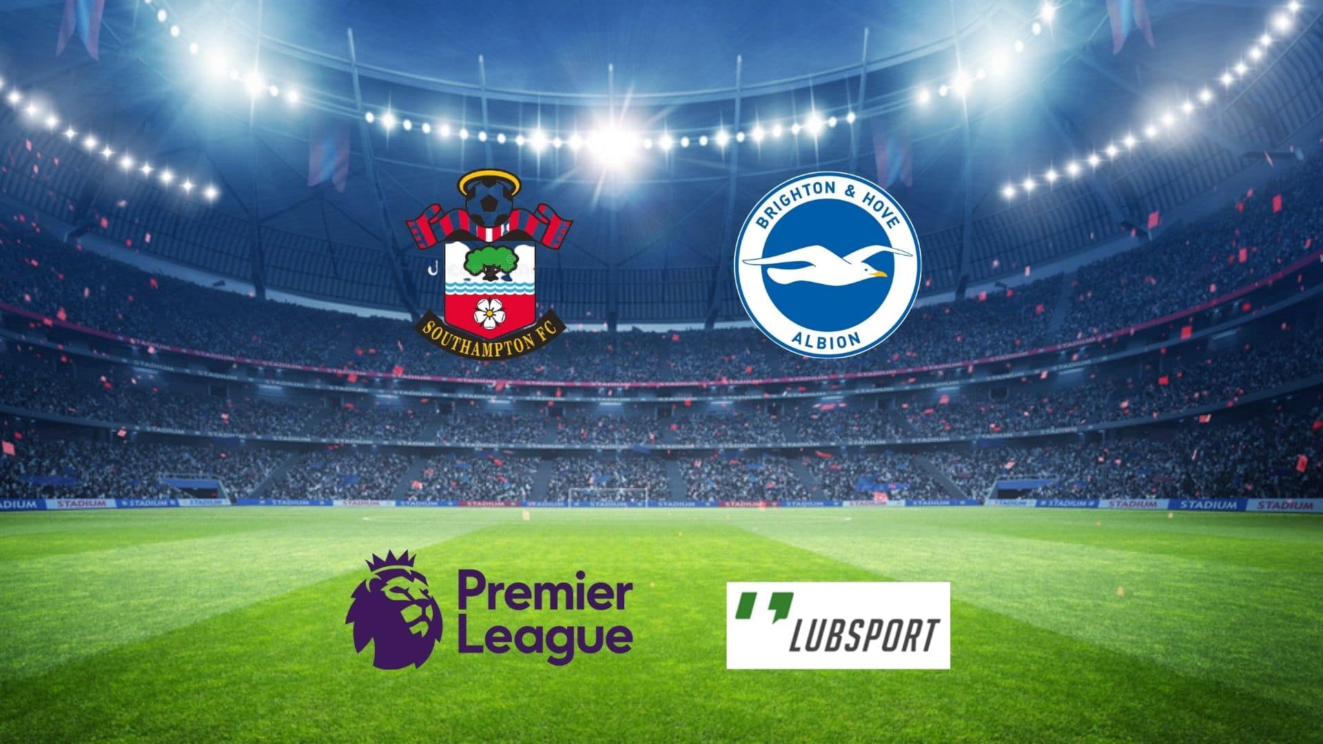 southampton-brighton-typy