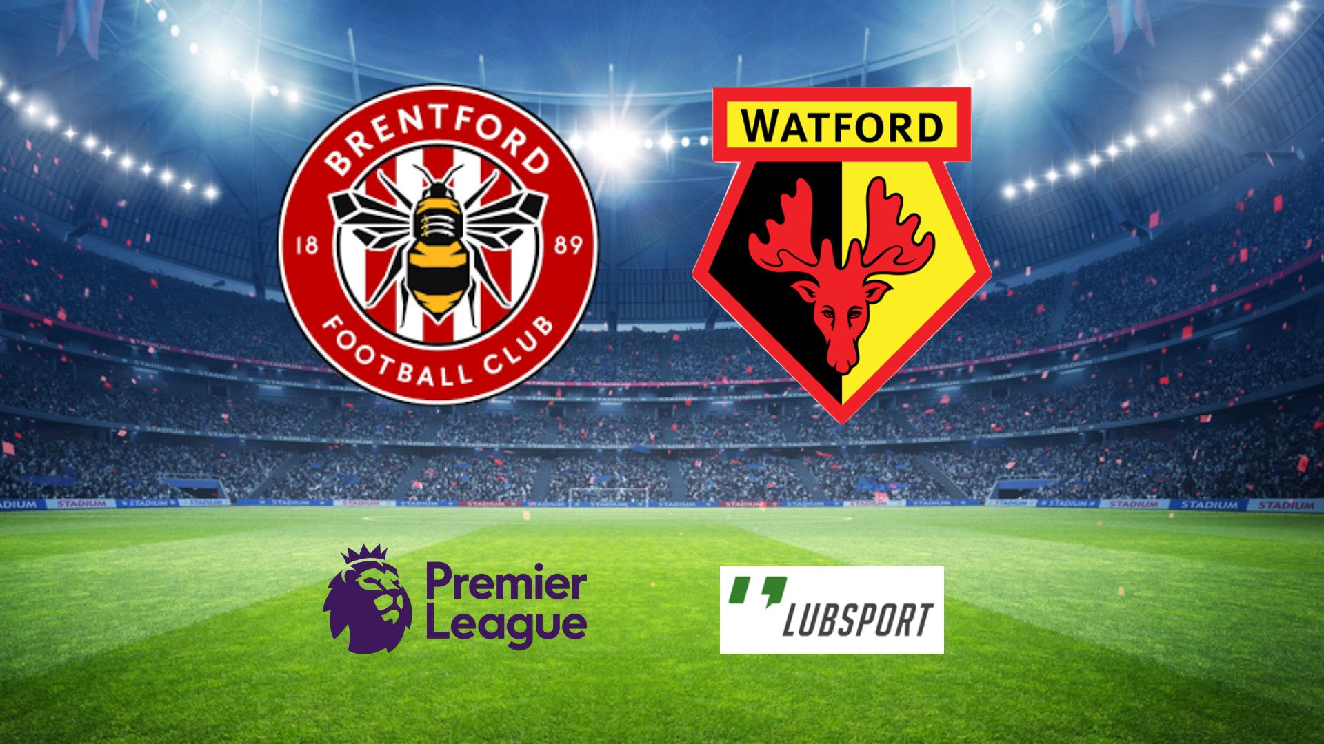 brentford-watford-typy