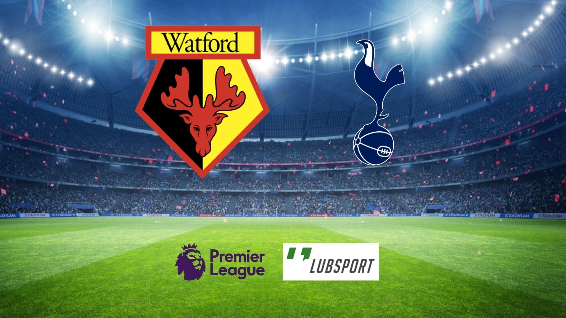 watford tottenham typy