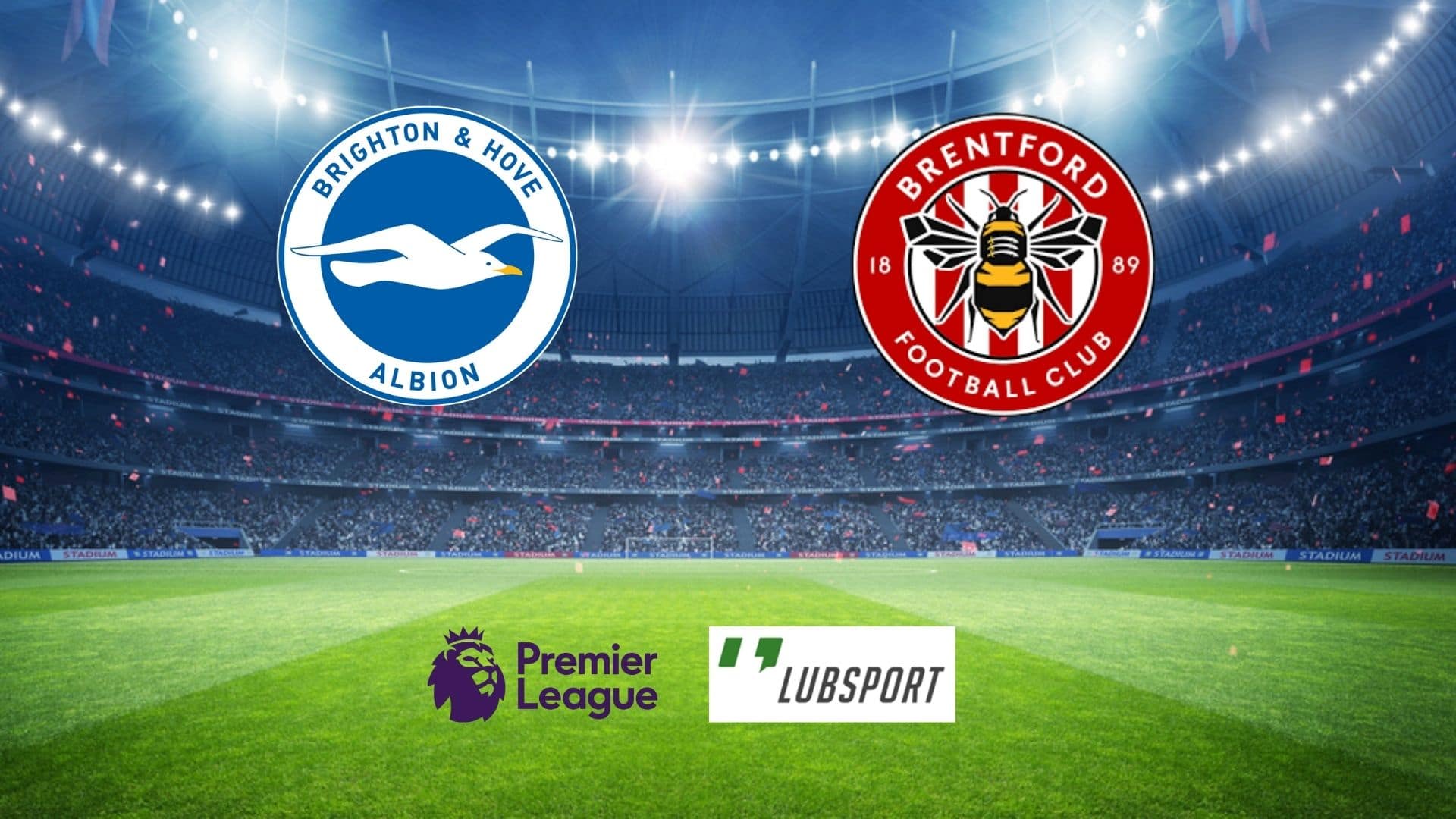 brighton-brentford-typy