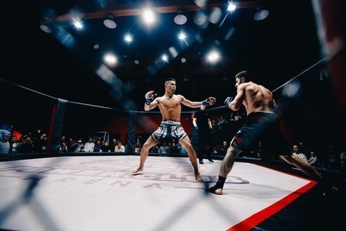 zakłady bukmacherskie mma