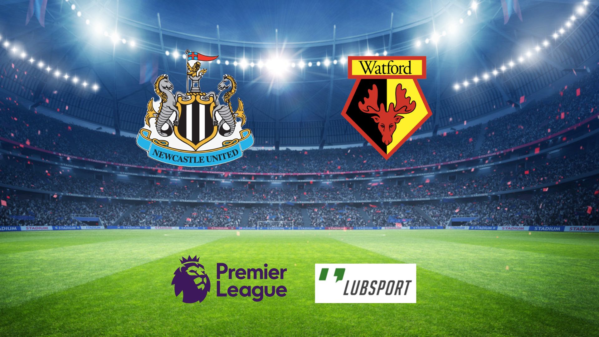 newcastle watford typy