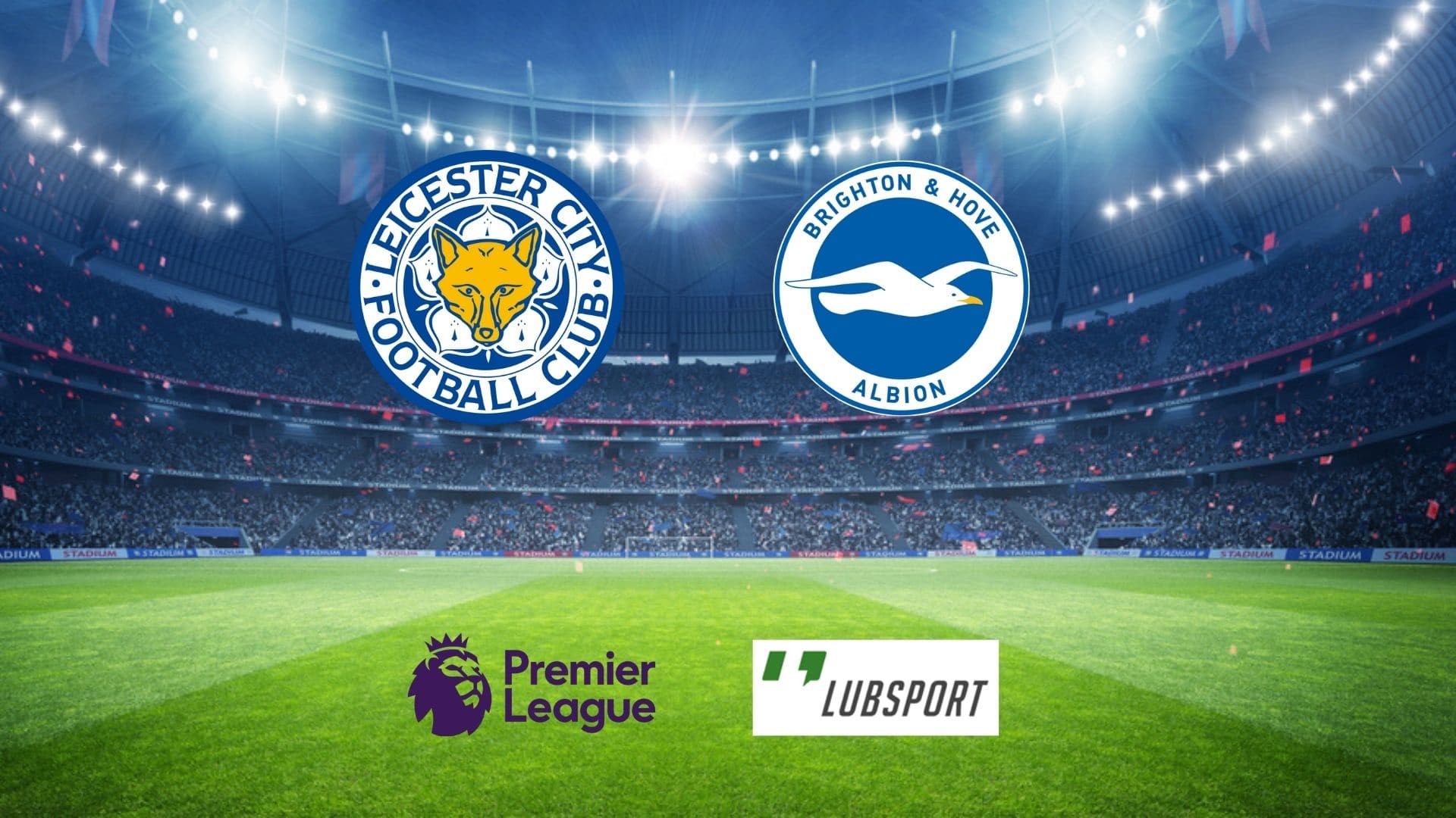 leicester brighton typy