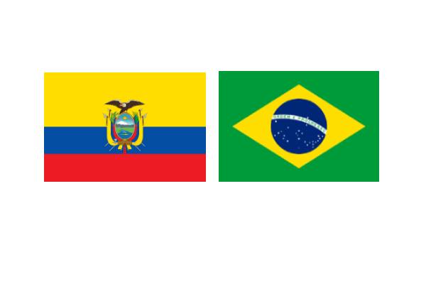 Ekwador Brazylia typy