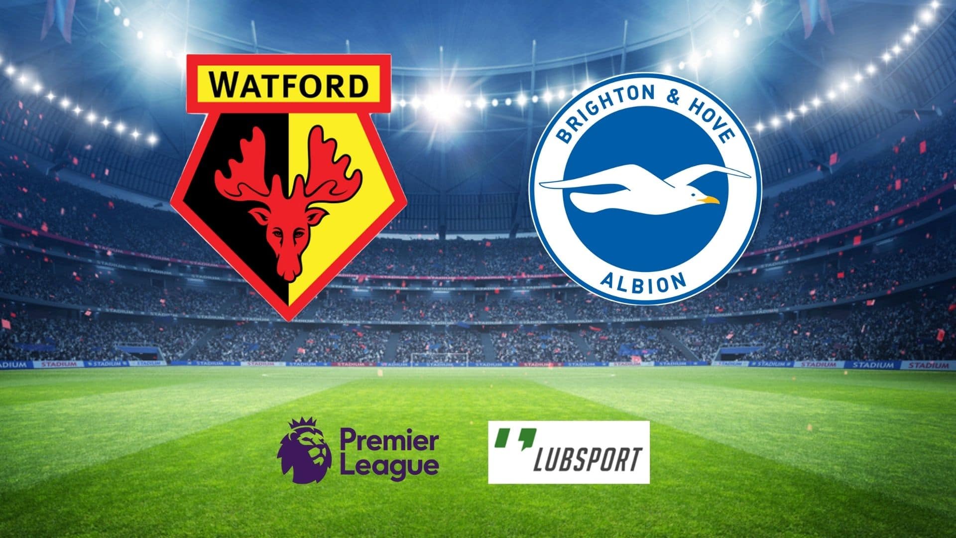 watford-brighton-typy watford brighton typy