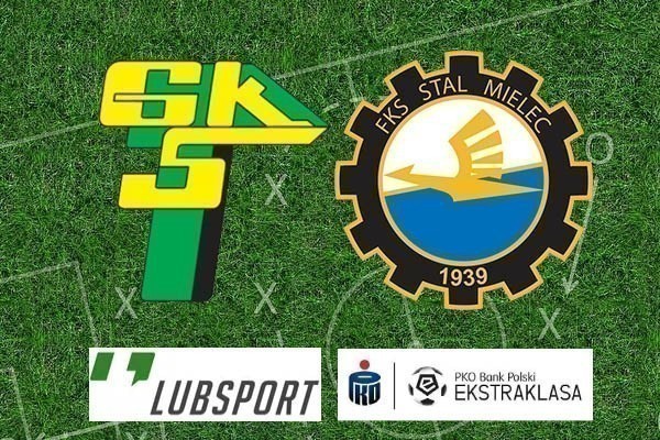 g&oacute;rnik łęczna stal mielec typy