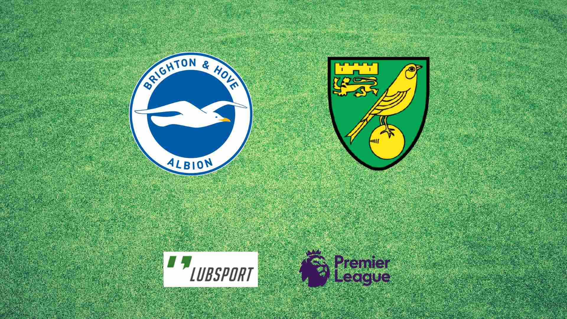 brighton norwich typy