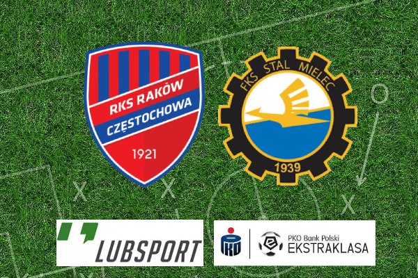 rak&oacute;w stal mielec typy