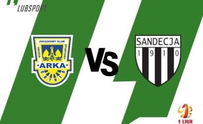 Arka &ndash; Sandecja typy, transmisja i analiza