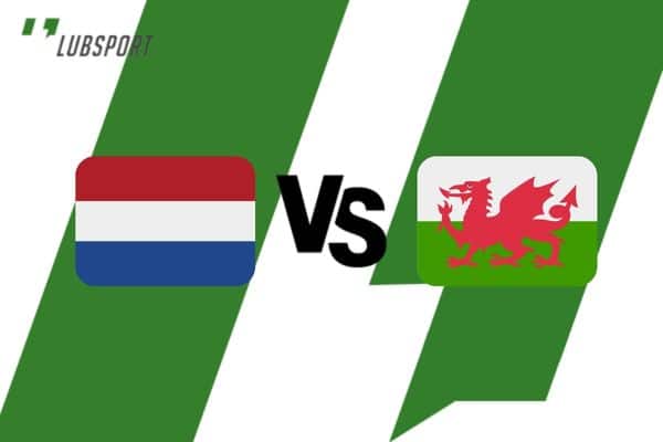 Holandia - Walia typy