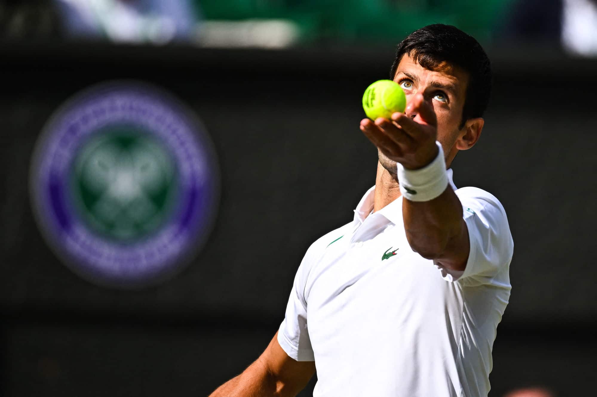 Djoković - Van Rijthoven typy