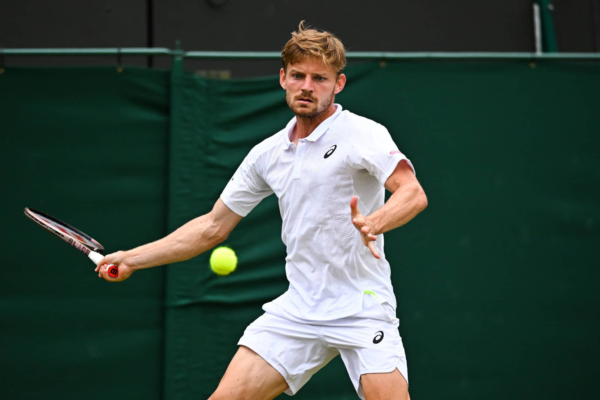 goffin - norrie typy