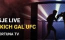 Fortuna UFC 276 &ndash; zakłady, bonusy bukmacherskie i oferta na najbliższą galę