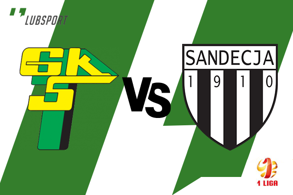 g&oacute;rnik leczna - sandecja ns typy