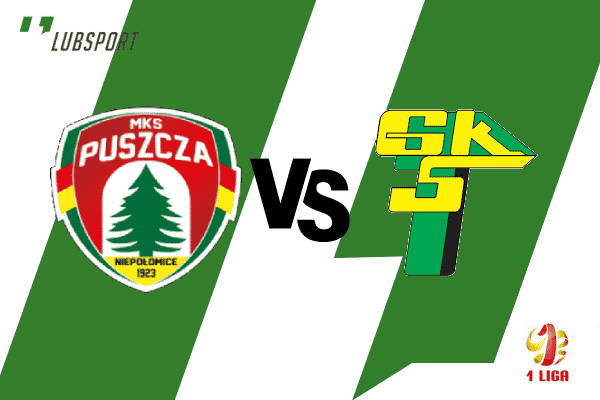 puszcza - górnik łęczna typy puszcza - górnik łęczna typy