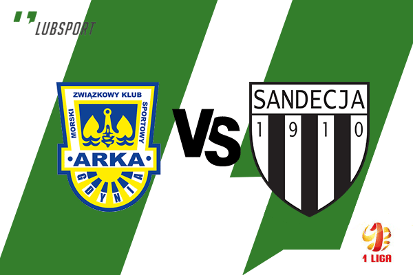 arka - sandecja typy