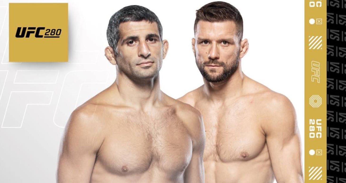 gamrot dariush typy gamrot dariush kursy typy