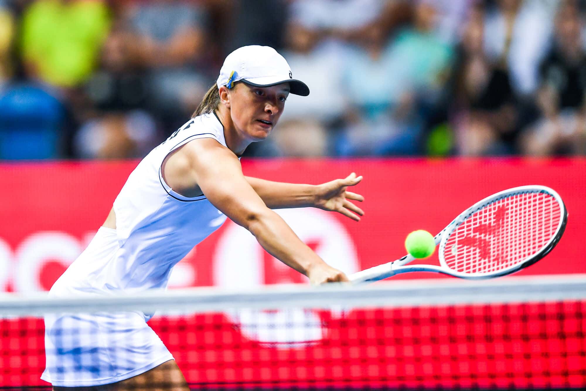 Świątek - Trevisan typy