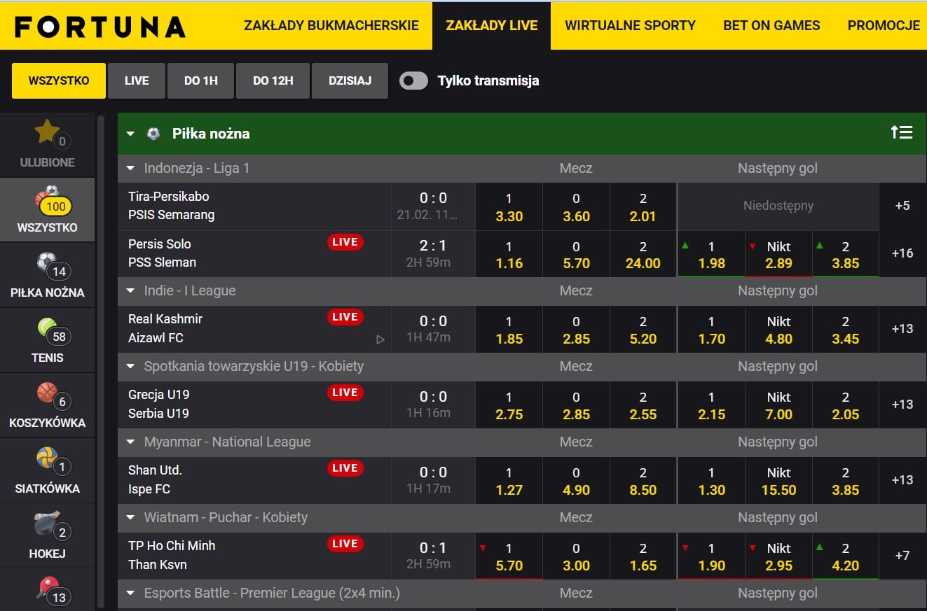 Fortuna oferta zakład&oacute;w