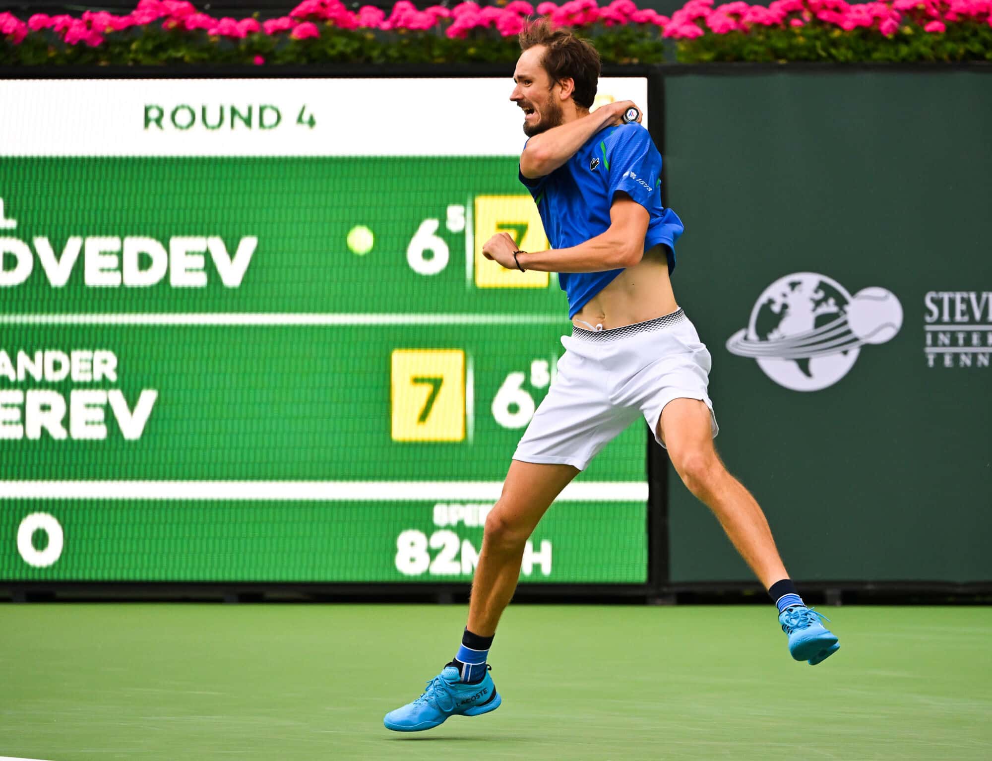 Miedwiediew Davidovich Fokina typy