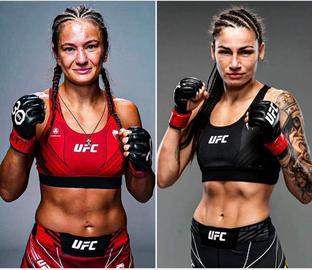 Kowalkiewicz - Belbita kursy