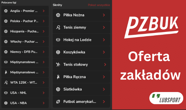 PZBuk oferta zakladow