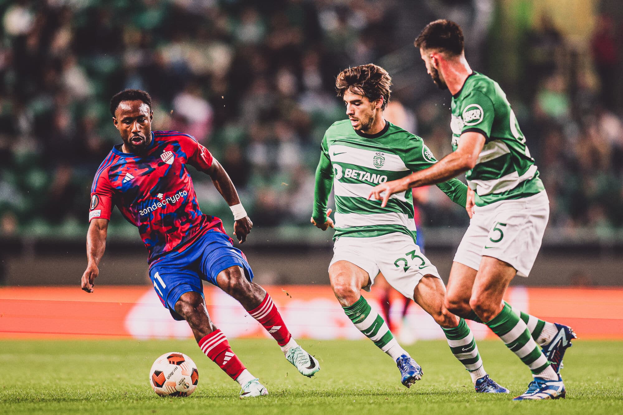 Rak&oacute;w Częstochowa - Cracovia typy