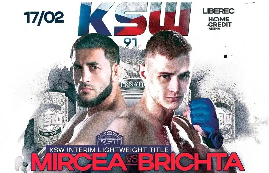 Mircea - Brichta typy