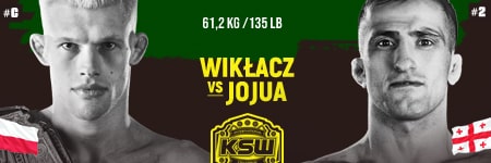 Wikłacz - Jojua typy