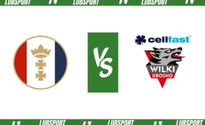 Wybrzeże Gdańsk &ndash; Wilki Krosno typy i kursy (14.04.2024)